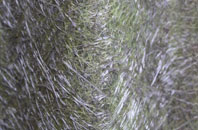 Canons Park fibreglass roof work